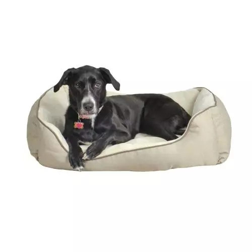 Master Paws® 36" X 27" Rectangular Cuddler Dog Bed - Assorted Colors 5 Master Paws® 36" X 27" Rectangular Cuddler Dog Bed - Assorted Colors - Image 3