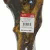 Master Paws® Dino Bone Dog Chew -Master Paws Sales Store 2531872