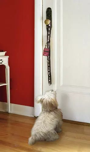 Master Paws™ Potty Training Bells 3 Master Paws™ Potty Training Bells