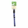 Master Paws® Adjustable Reflective Blue Paw Print Dog Collar - Small