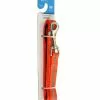 Master Paws® 5' Orange Reflective Adjustable Nylon Dog Leash - Medium