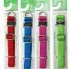 Master Paws® Adjustable Small Nylon Dog Collar - Assorted Colors