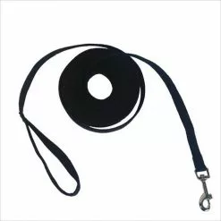 Master Paws® 20' Training Dog Dog Leash - Assorted Colors -Master Paws Sales Store 2533387 P SC3