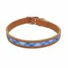 Master Paws® Tan & Blue Leather Window Dog Collar - 18" X 1" 2 Master Paws® Tan & Blue Leather Window Dog Collar - 18" X 1" -Master Paws Sales Store 2533830 P SF