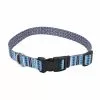 Master Paws® Blue Paw & Bone Adjustable Nylon Dog Collar - Medium 1 Master Paws® Blue Paw & Bone Adjustable Nylon Dog Collar - Medium -Master Paws Sales Store 2533831