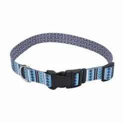 Master Paws® Blue Paw & Bone Adjustable Nylon Dog Collar - Medium