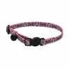 Master Paws® 3/8" Fashion Pink Skull Adjustable Breakaway Cat Collar 1 Master Paws® 3/8" Fashion Pink Skull Adjustable Breakaway Cat Collar -Master Paws Sales Store 2533913