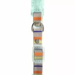 Master Paws® Adjustable Striped Waterproof Dog Collar - Medium