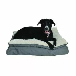 Master Paws® 36" X 27" Premium Pillowtop Dog Bed - Assorted Colors -Master Paws Sales Store 2538013B P AP