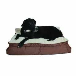 Master Paws® 36" X 27" Premium Pillowtop Dog Bed - Assorted Colors -Master Paws Sales Store 2538013a P AP