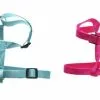 Master Paws® Medium Adjusable Nylon Dog Harness - Assorted Colors -Master Paws Sales Store 48224EA2533406