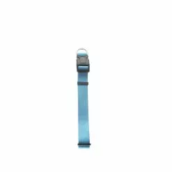 Master Paws® Adjustable Sky Blue Nylon Dog Collar - Small
