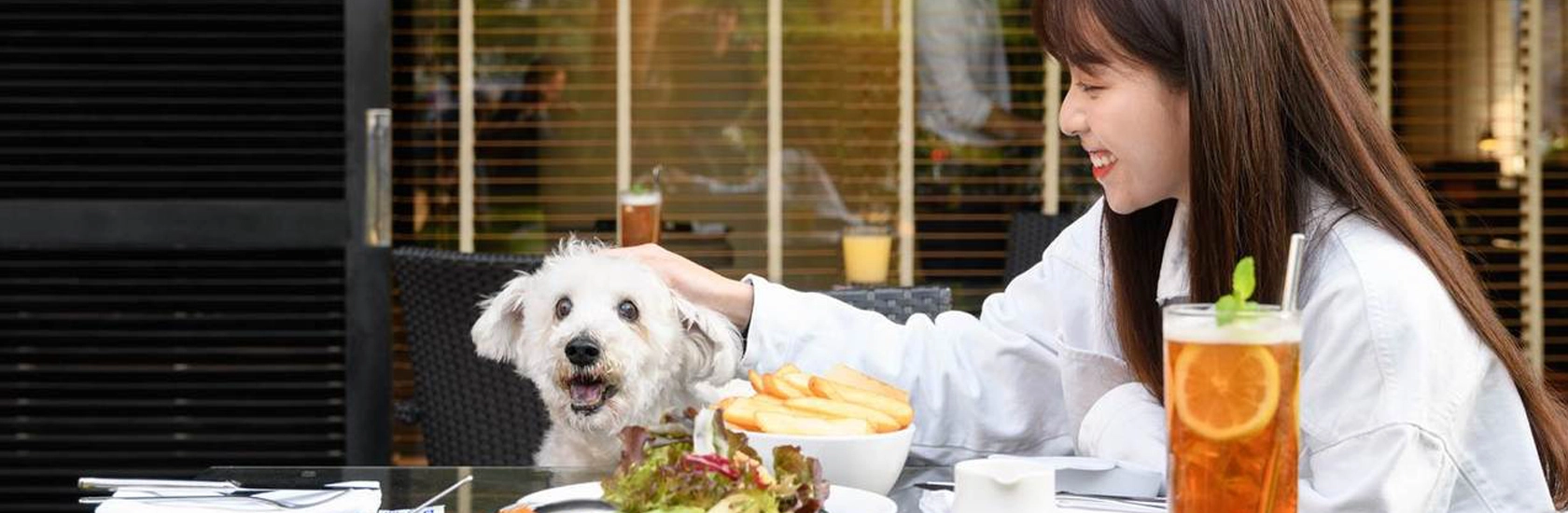 Master Paws Sales Store -Master Paws Sales Store 未标题 1