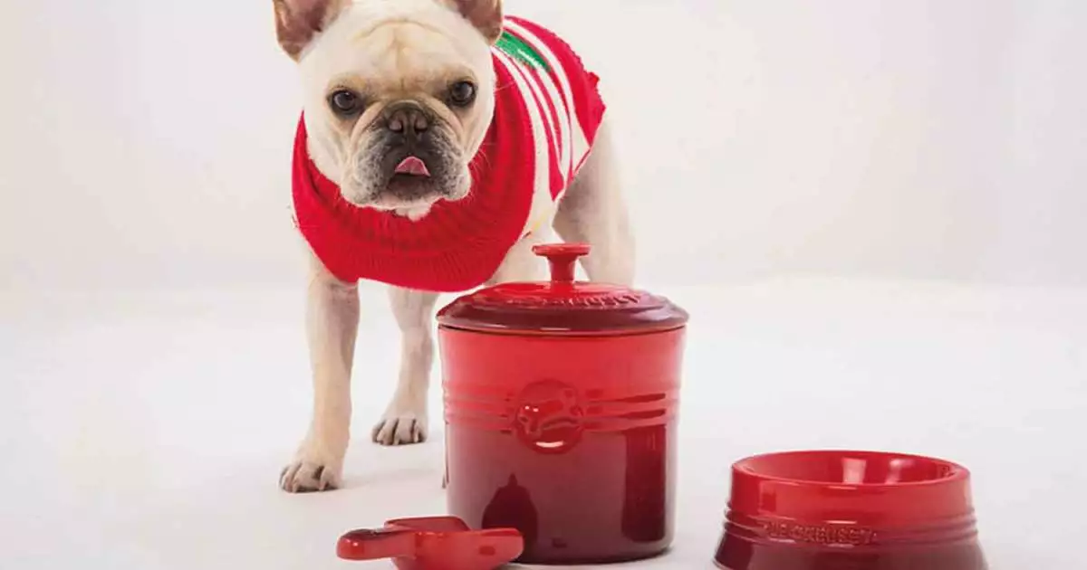 Master Paws Sales Store -Master Paws Sales Store 124